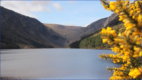 Calm Lake