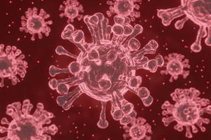 COVID-19 virus strain